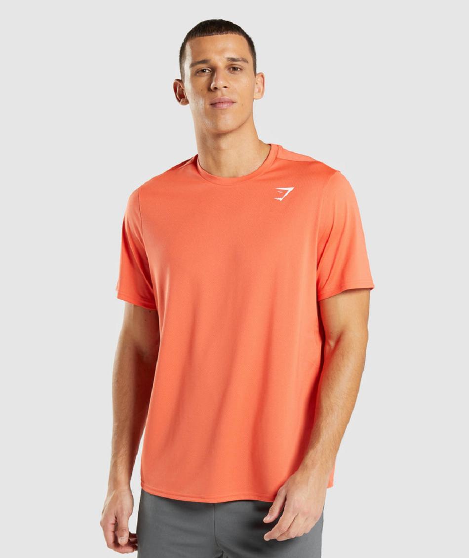 T Shirts Gymshark Arrival Regular Fit Hombre Naranjas | CO 3350WNB